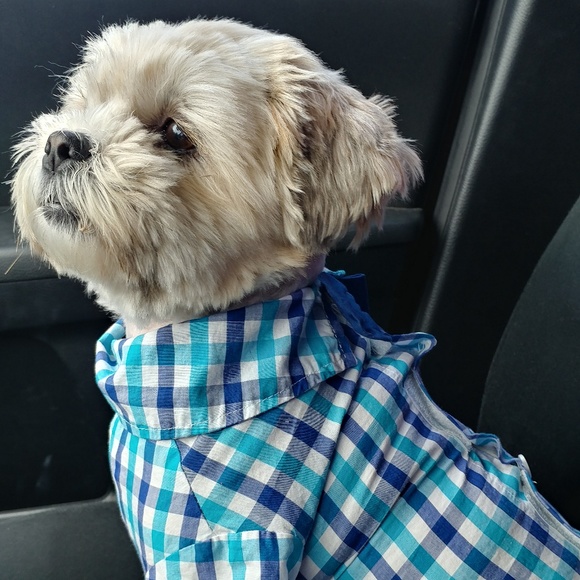 Meet your Posher, Sonja - Picture 1 of 1